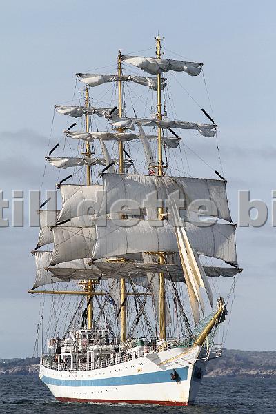 TSR2011_2 159.JPG